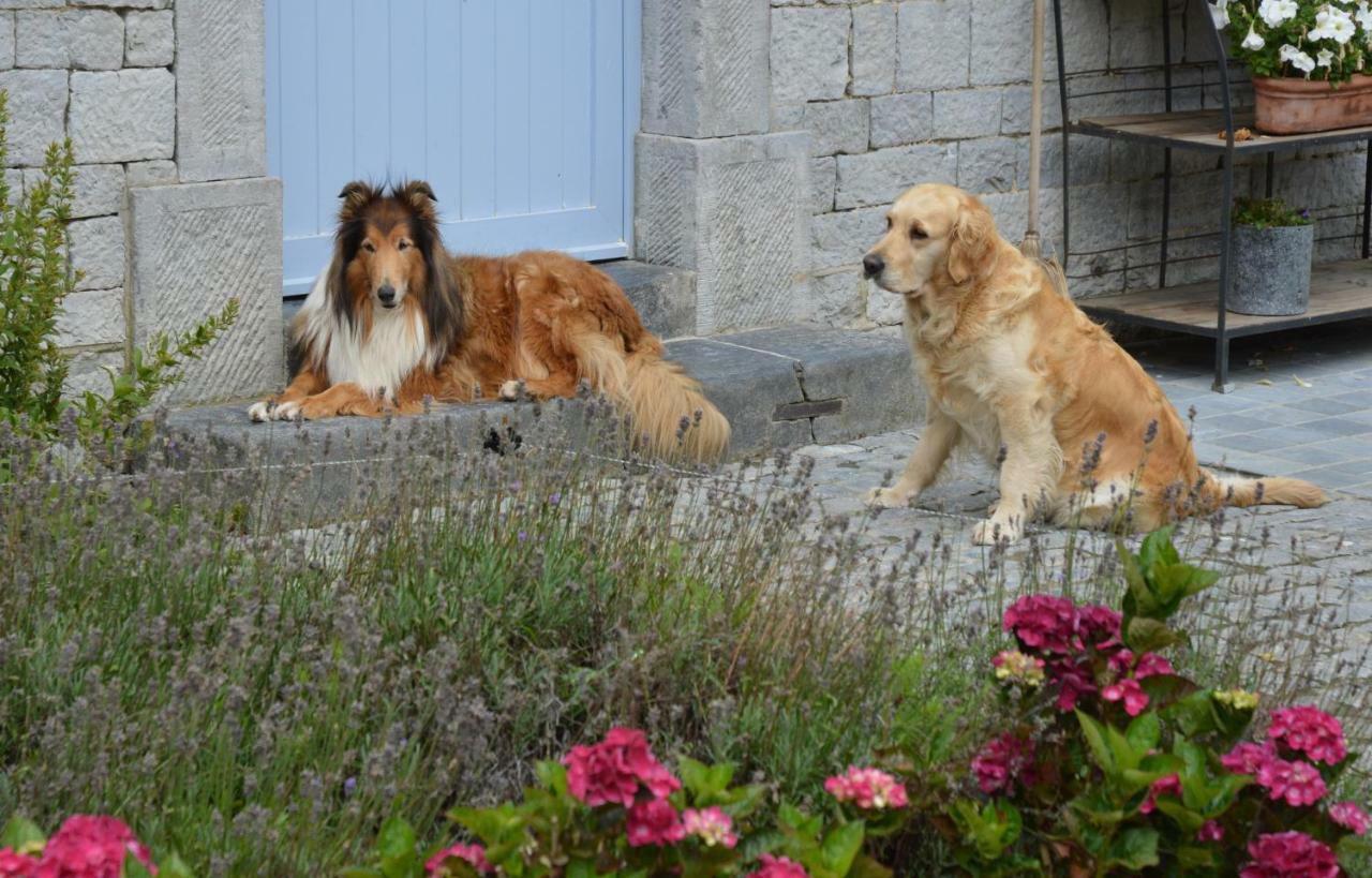 Aux 4 Saules De 4 Wilgen Bed and Breakfast Modave Exteriör bild