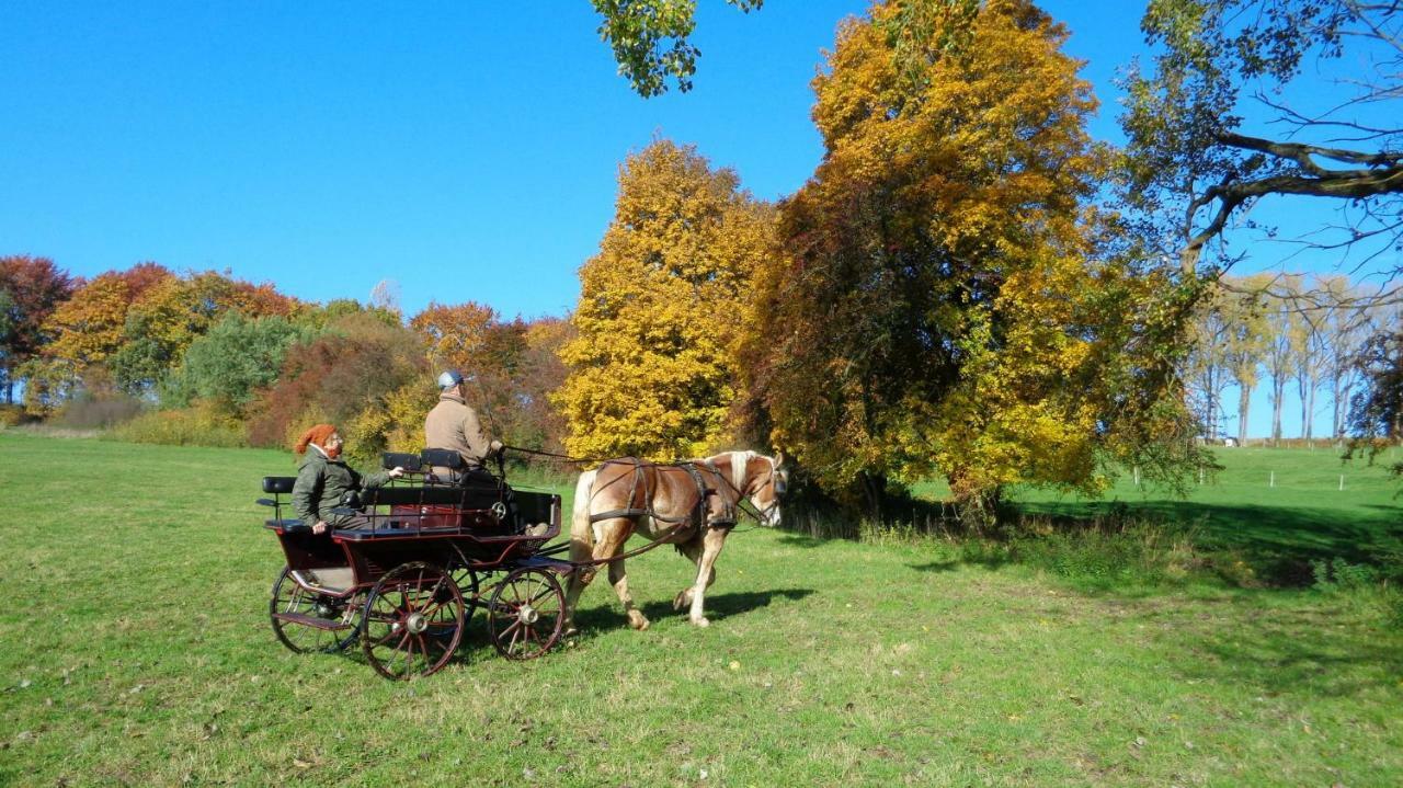 Aux 4 Saules De 4 Wilgen Bed and Breakfast Modave Exteriör bild
