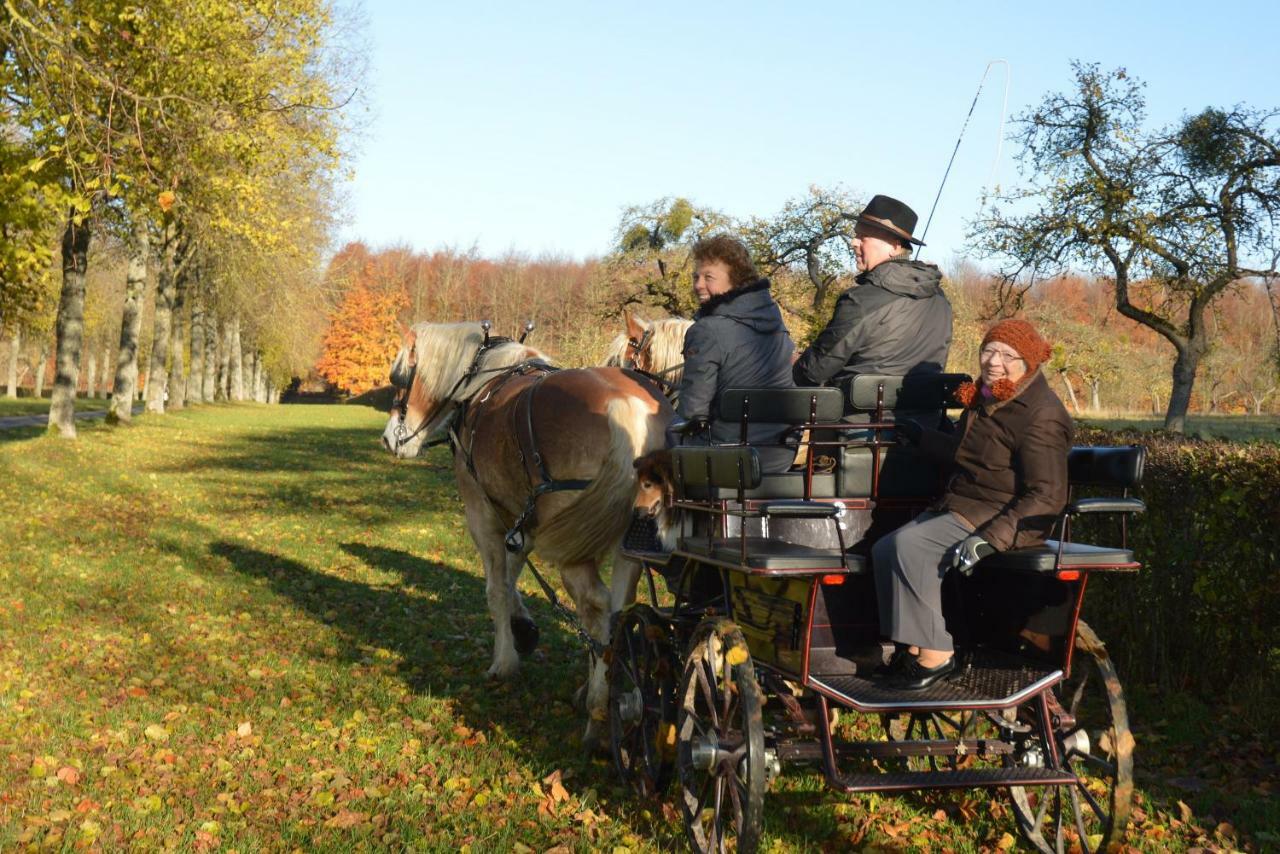 Aux 4 Saules De 4 Wilgen Bed and Breakfast Modave Exteriör bild